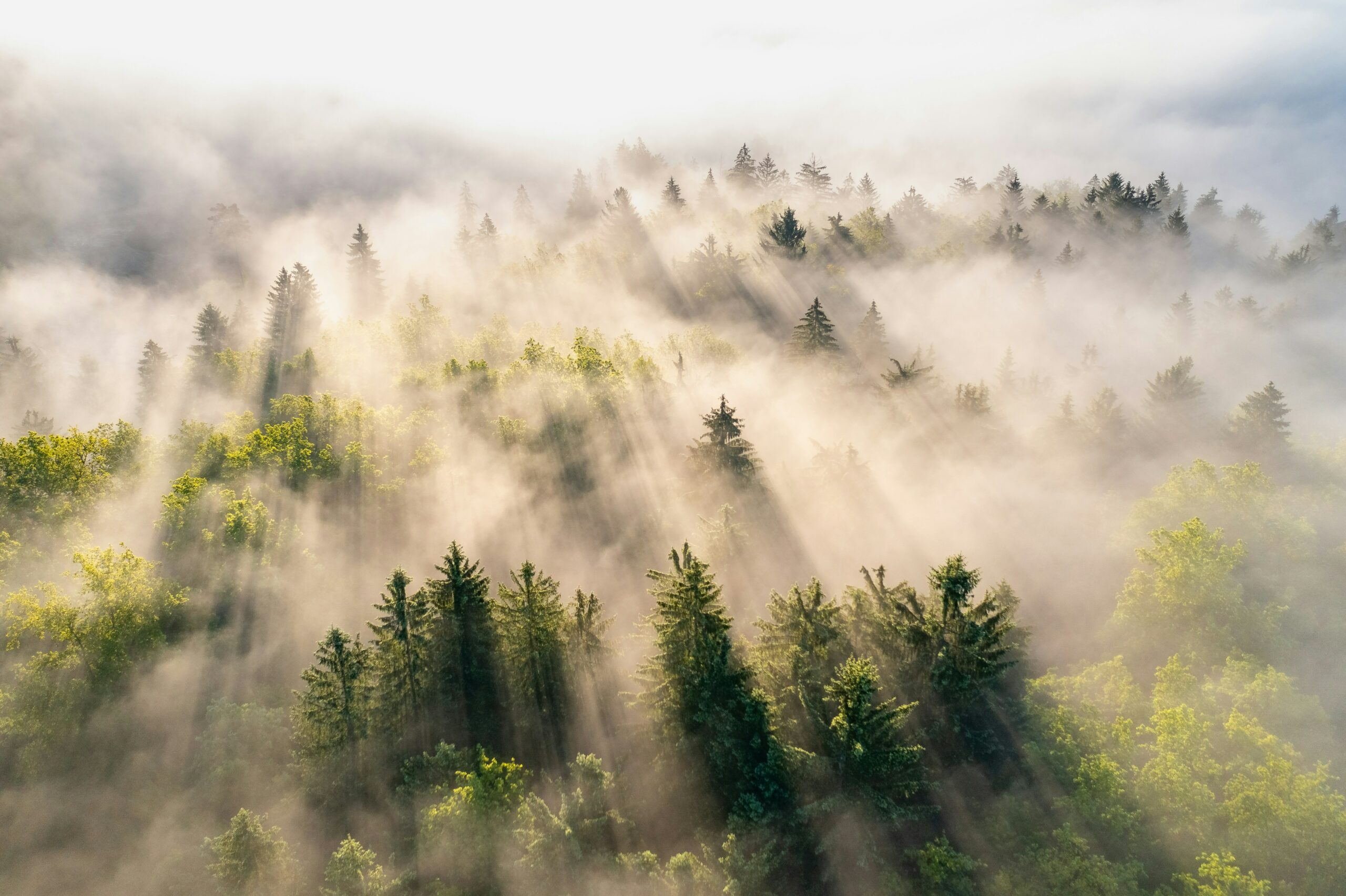 Environnement M2C